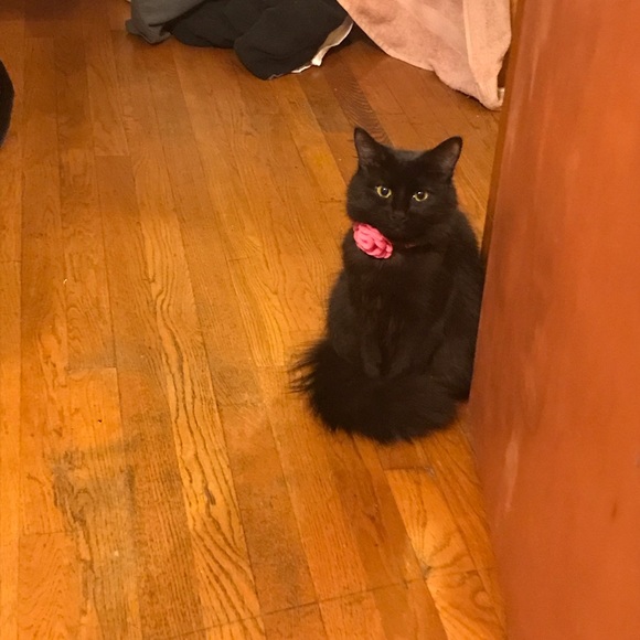 Spooky - Picture 4 of 4